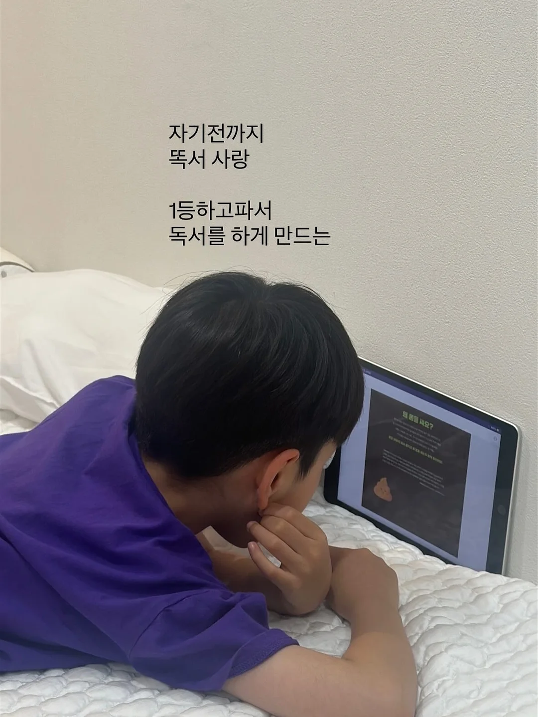 한지사 니트 5