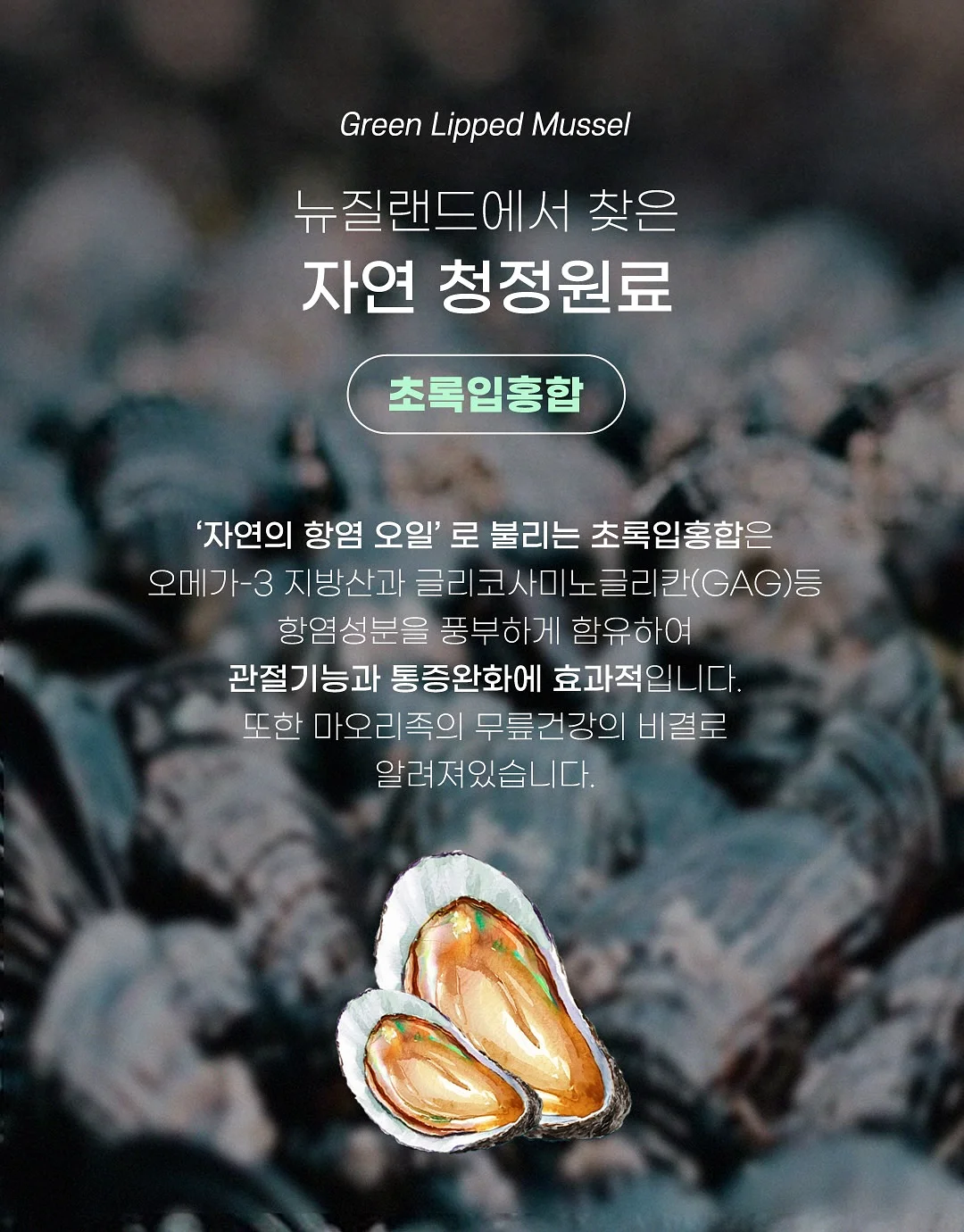 멜라토닌 7
