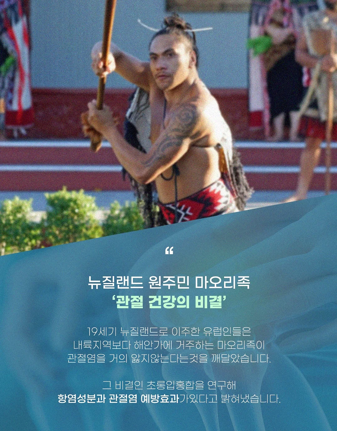 멜라토닌 8