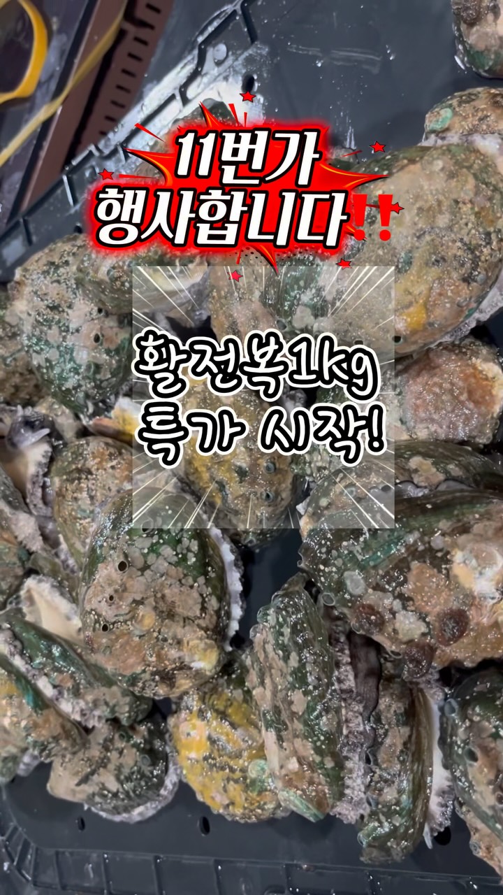 뉴블랑 스트라잎 플라워 도트