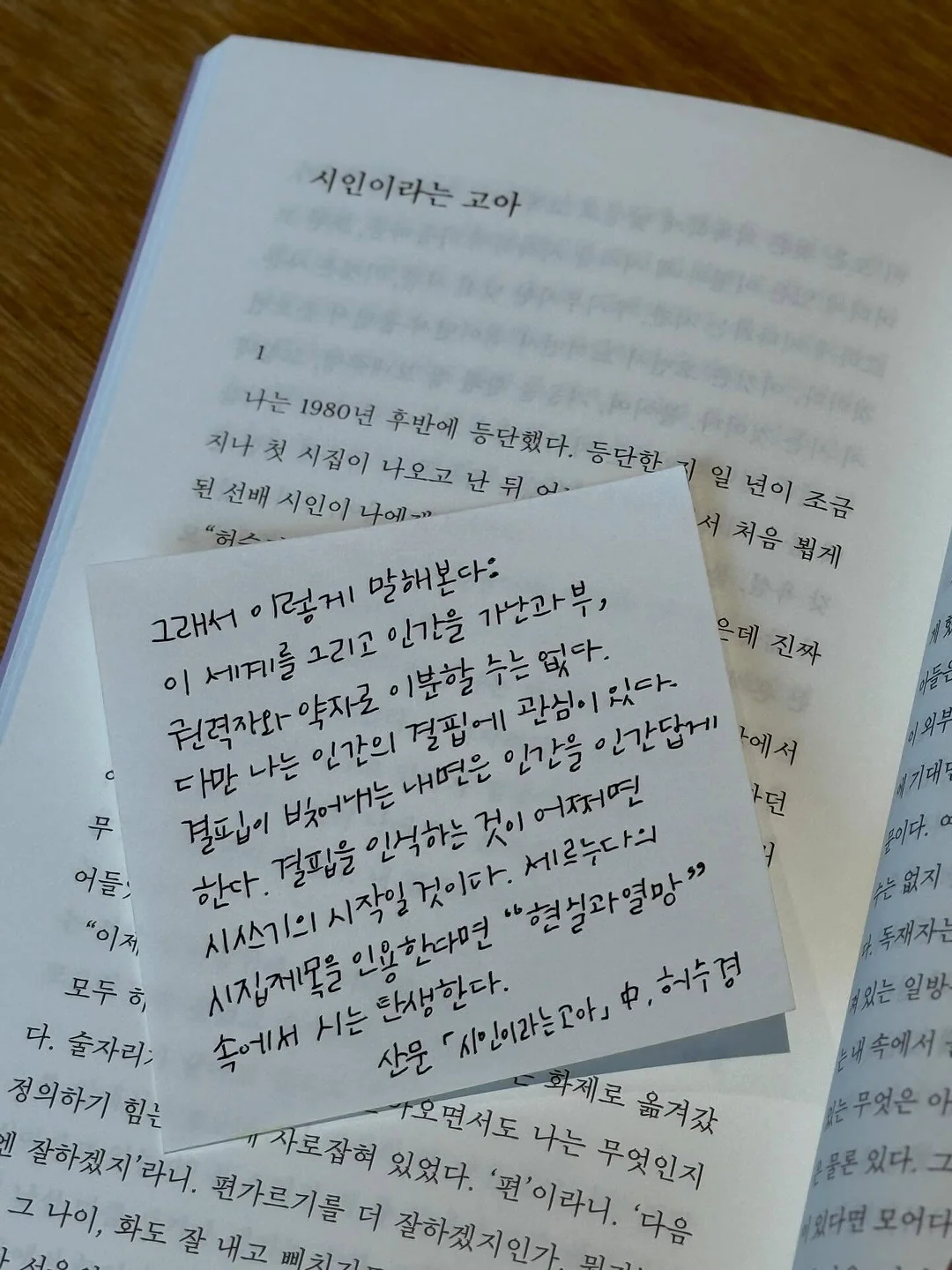 요가 강사 심화 교육 3