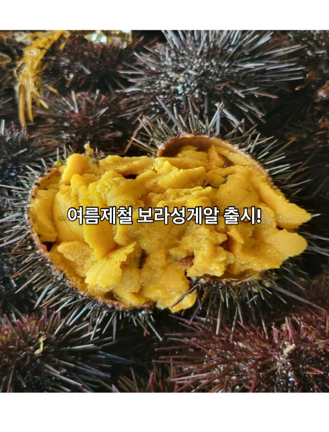 헬로키티 머메이드 아타리쿠지 4