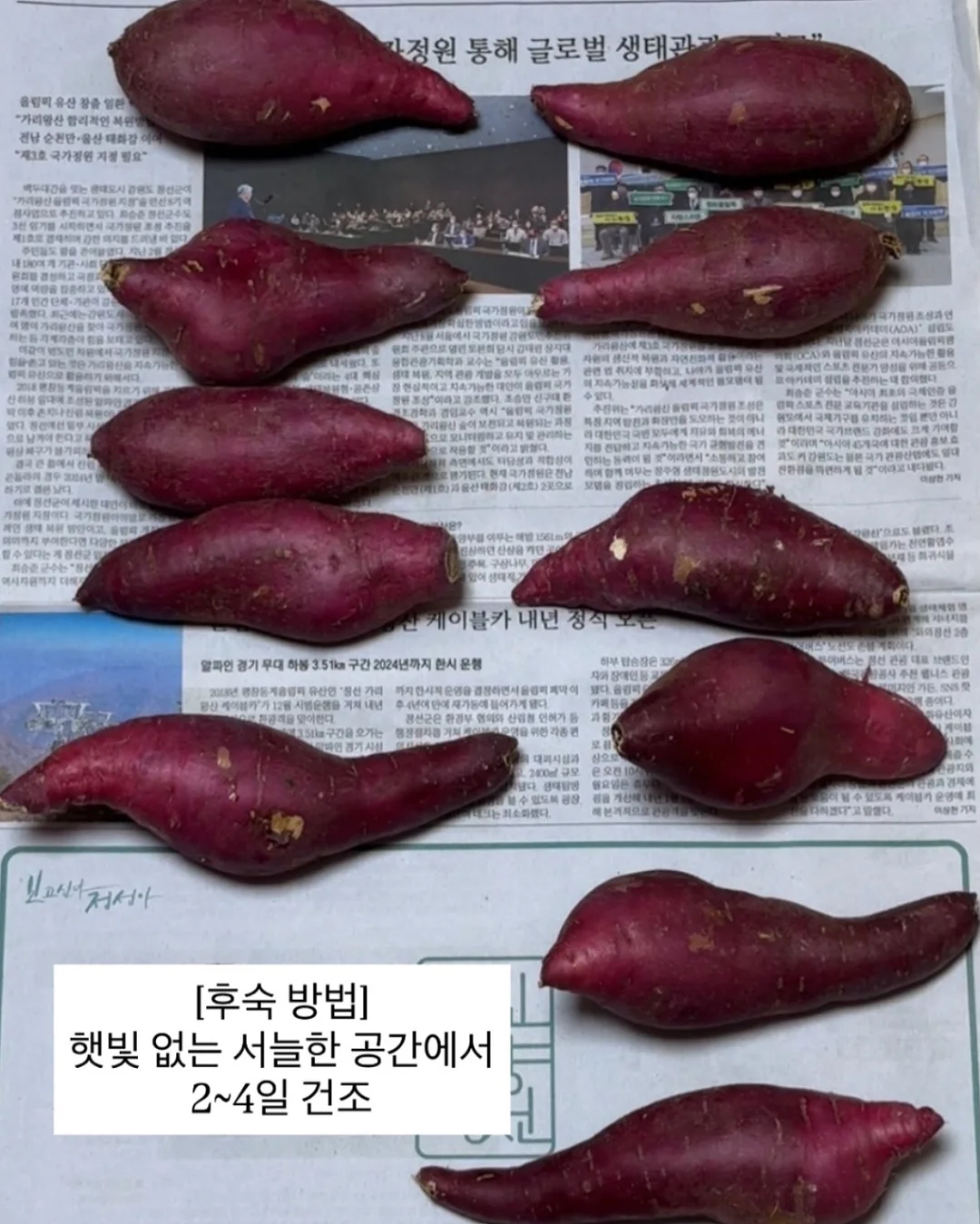 유니클로 후드 7