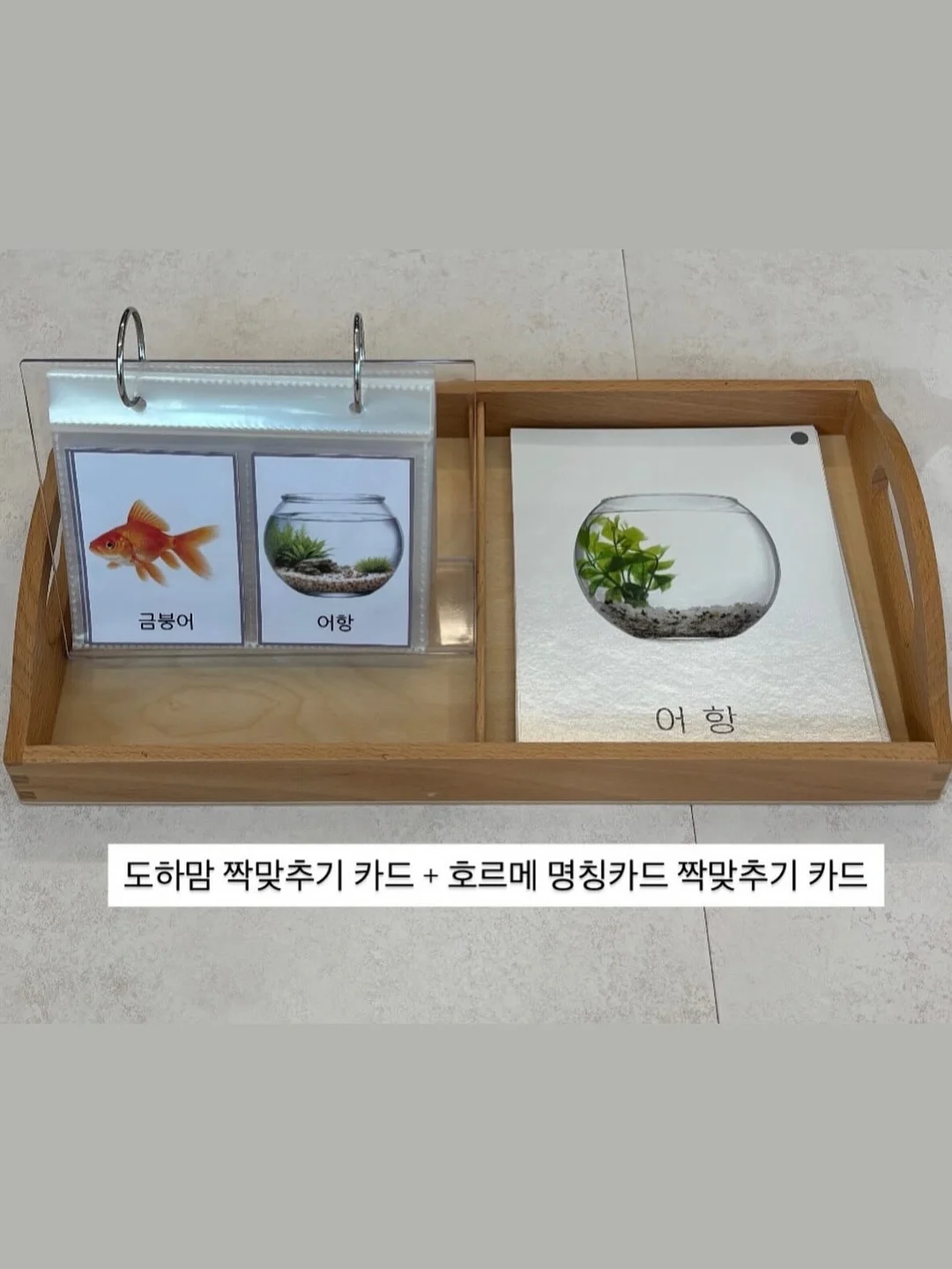 옵티젠 비타민 17