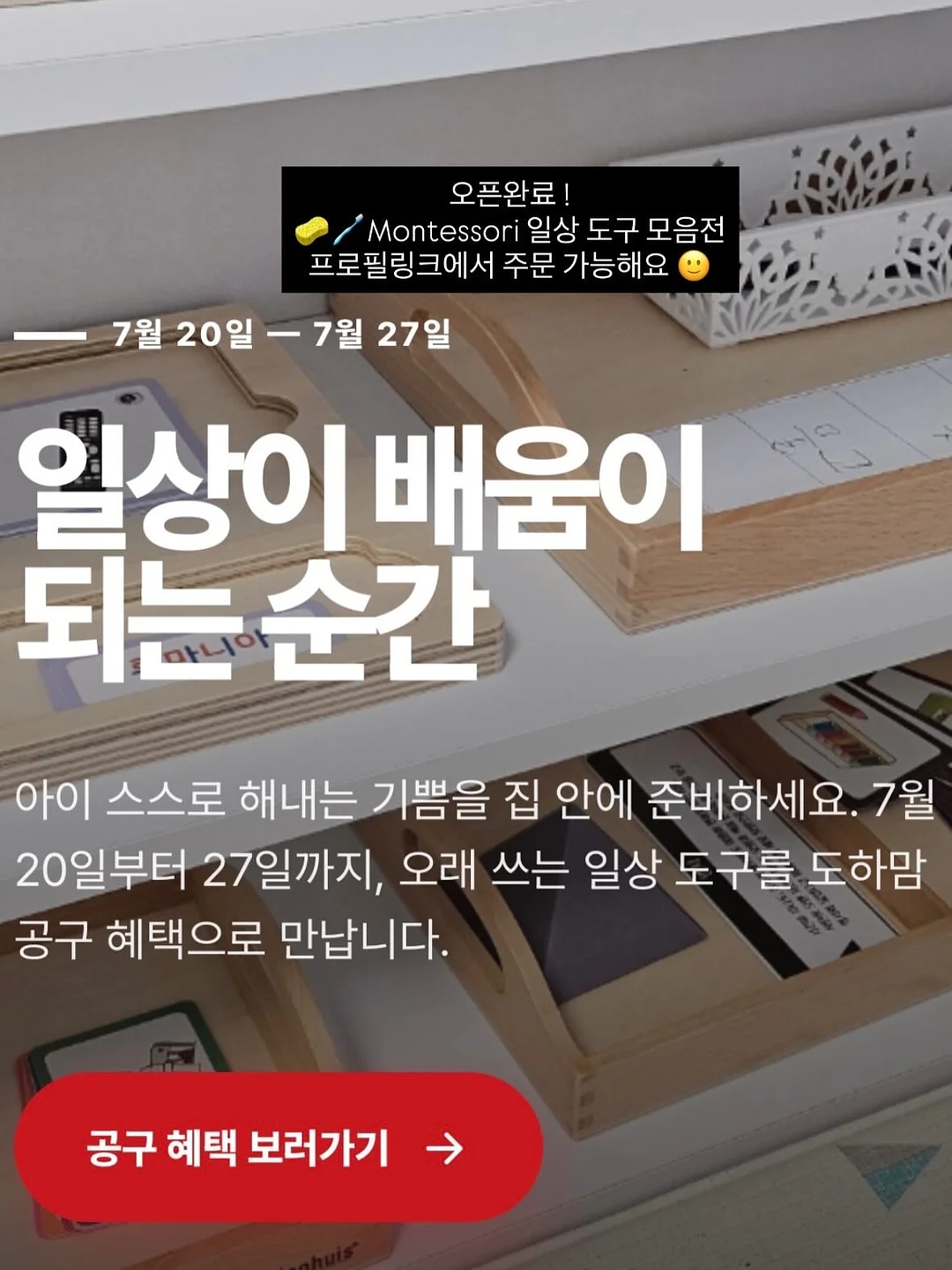 옵티젠 비타민 6