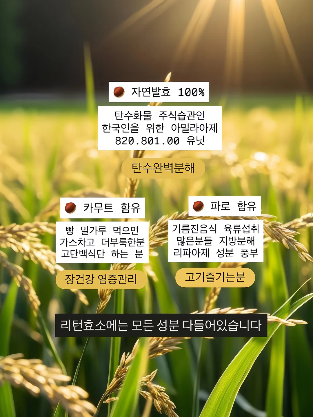 크레모아 캡온 65A+ 2