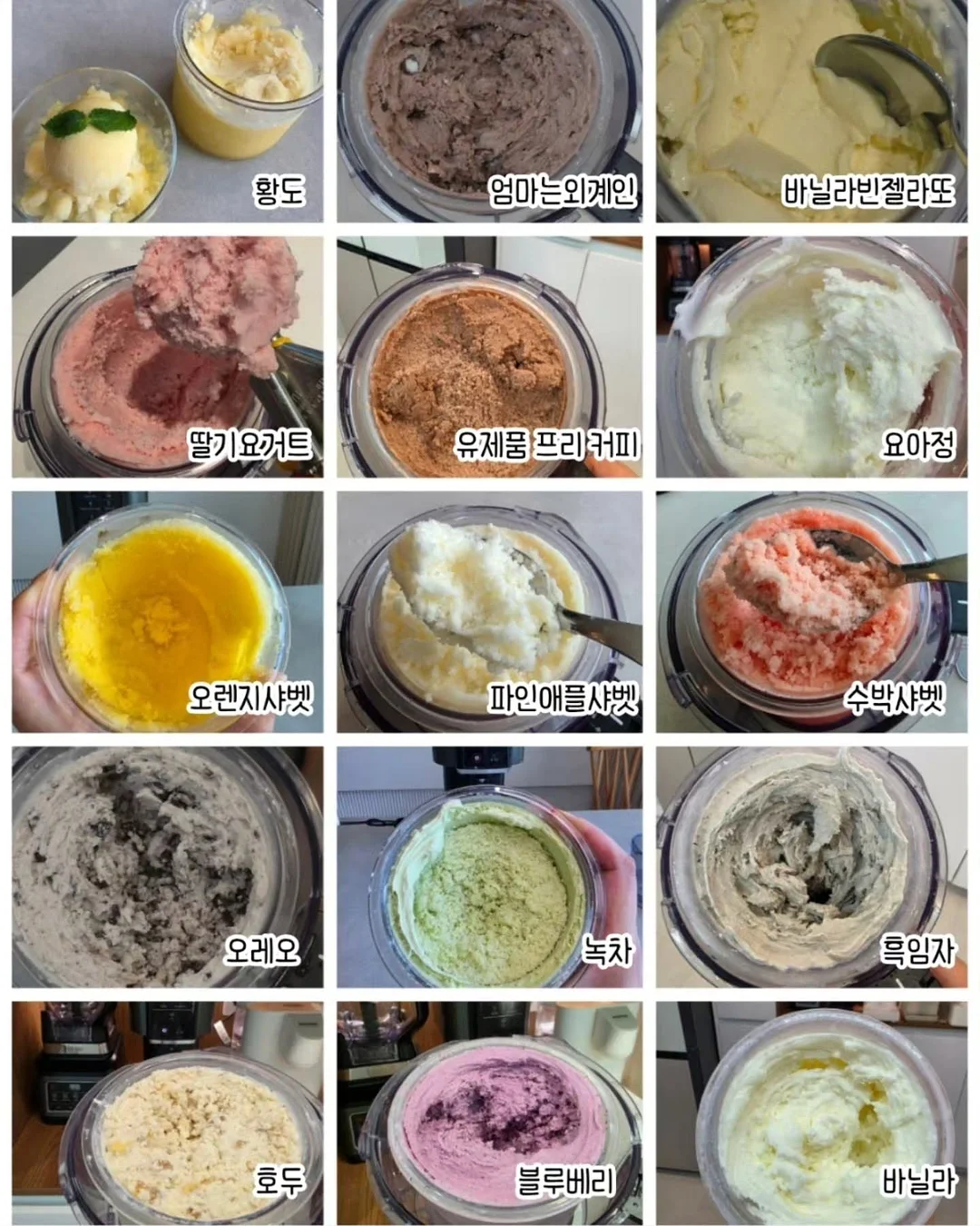 파파야나인 지바겐 푸쉬카 9