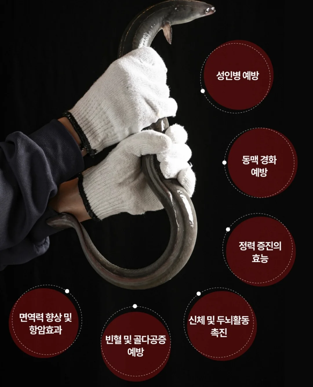 틈새장 18