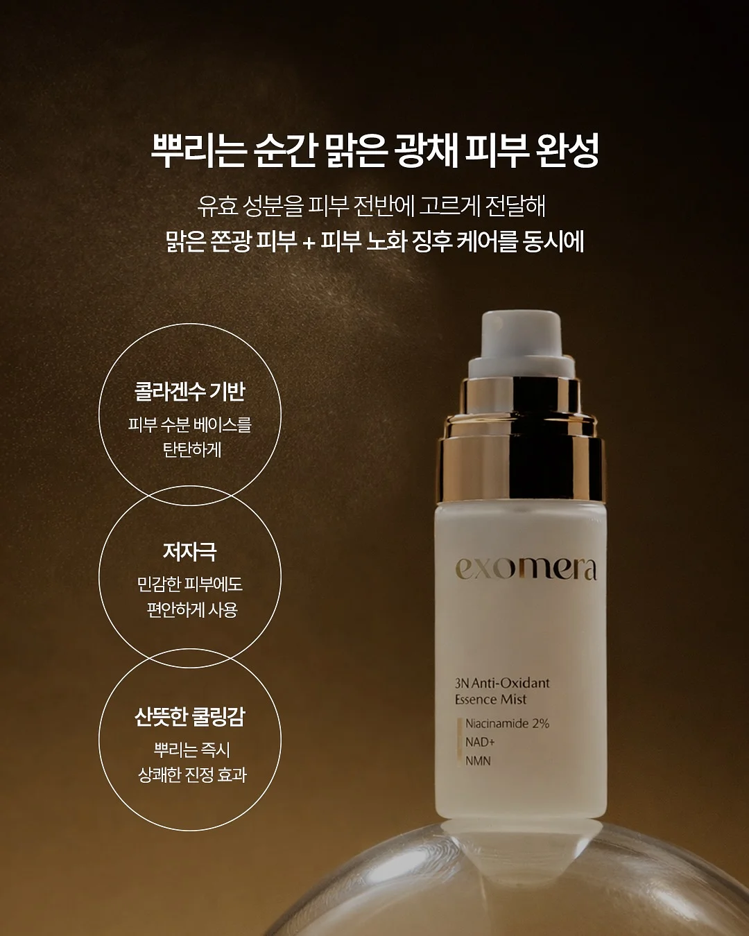 레디블룸 프로틴팝 4