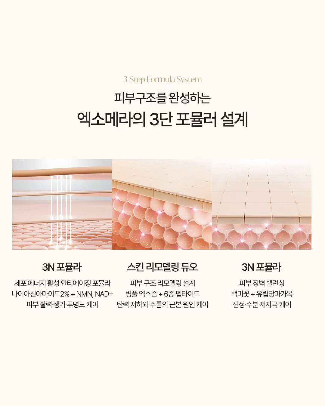 레디블룸 프로틴팝 5