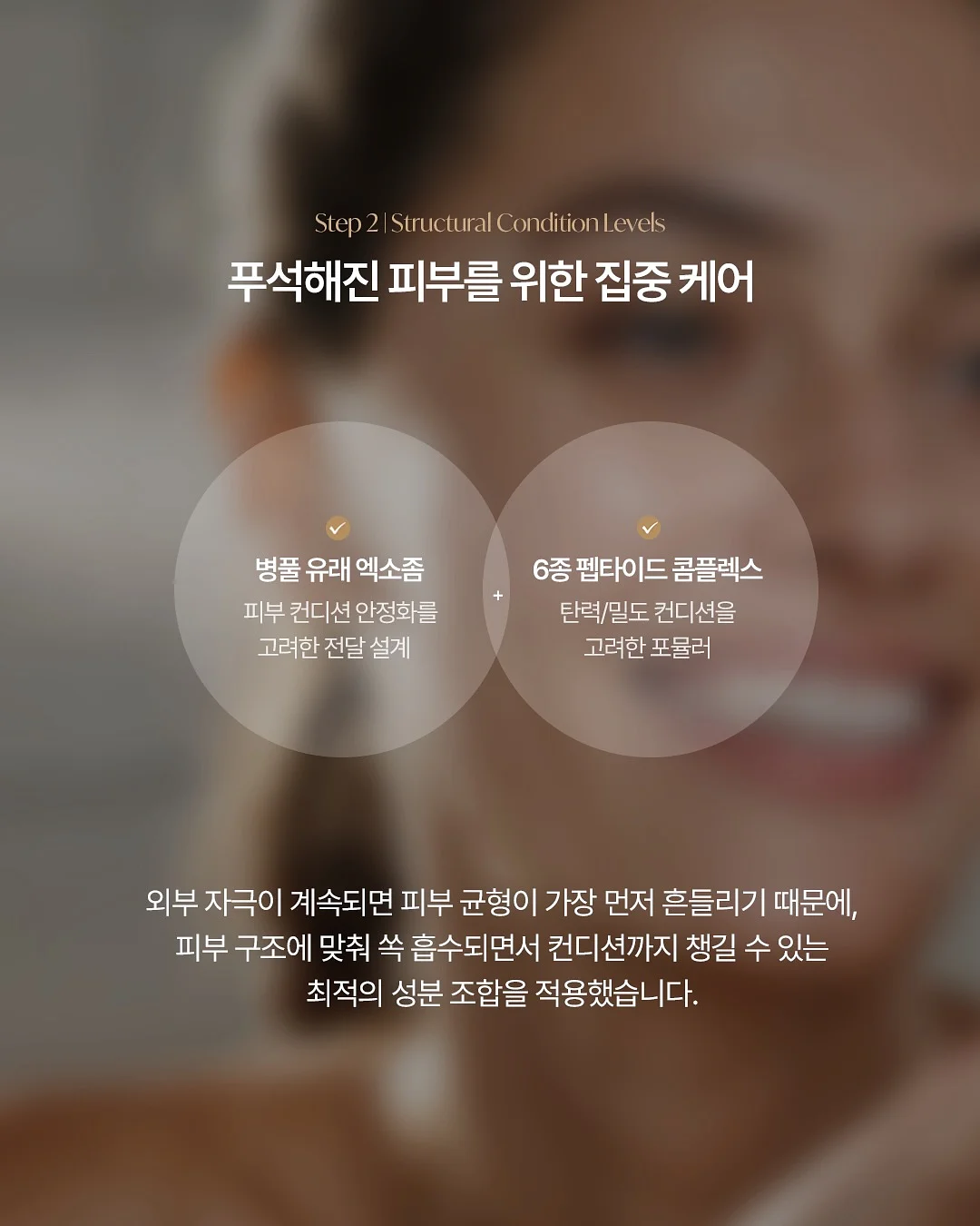 레디블룸 프로틴팝 6
