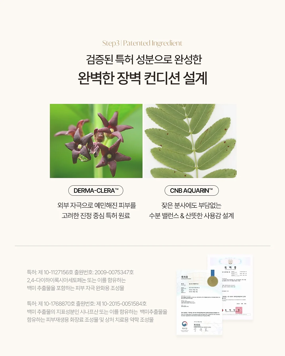 레디블룸 프로틴팝 7