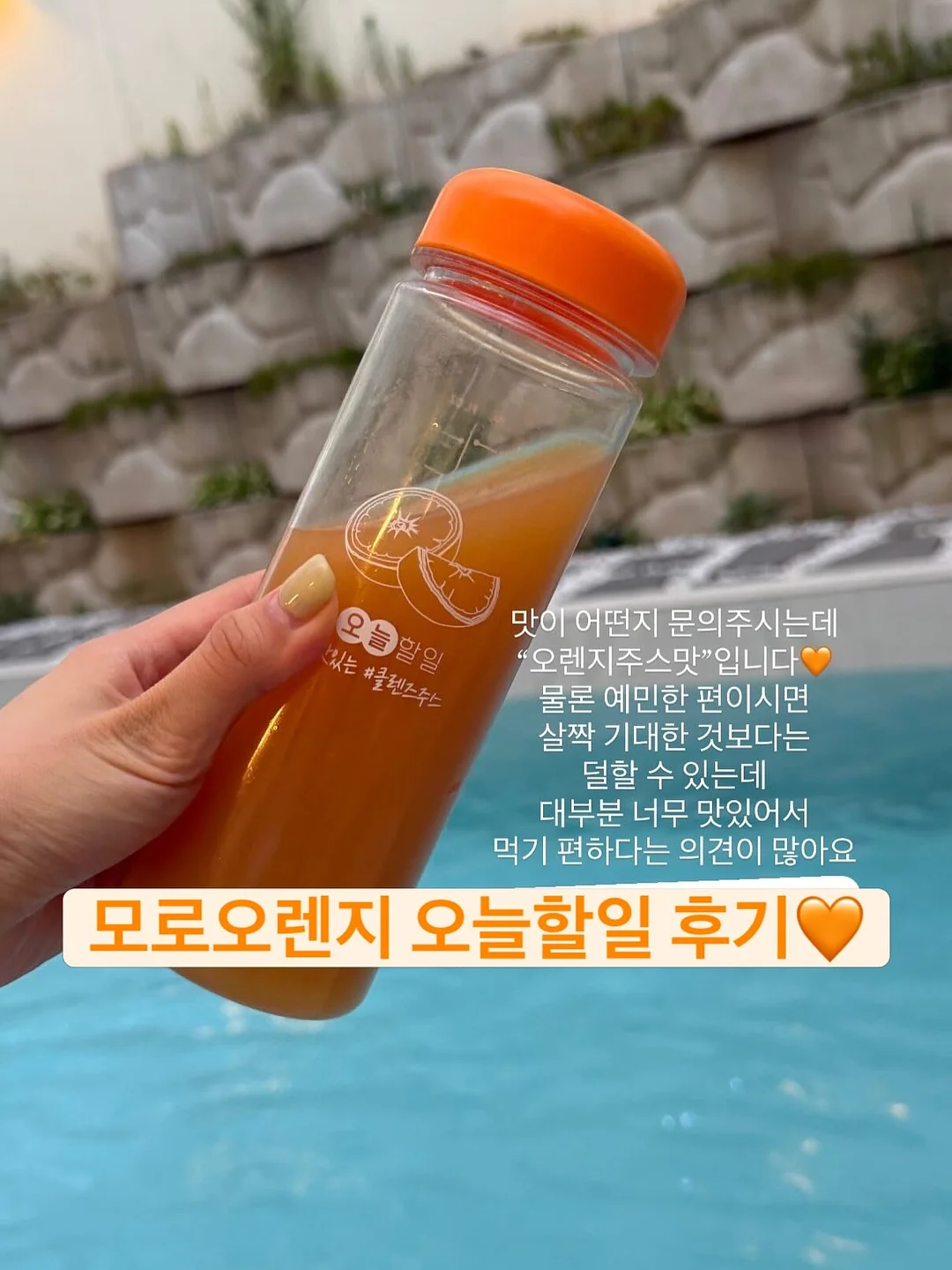 배추 김치 10kg 1