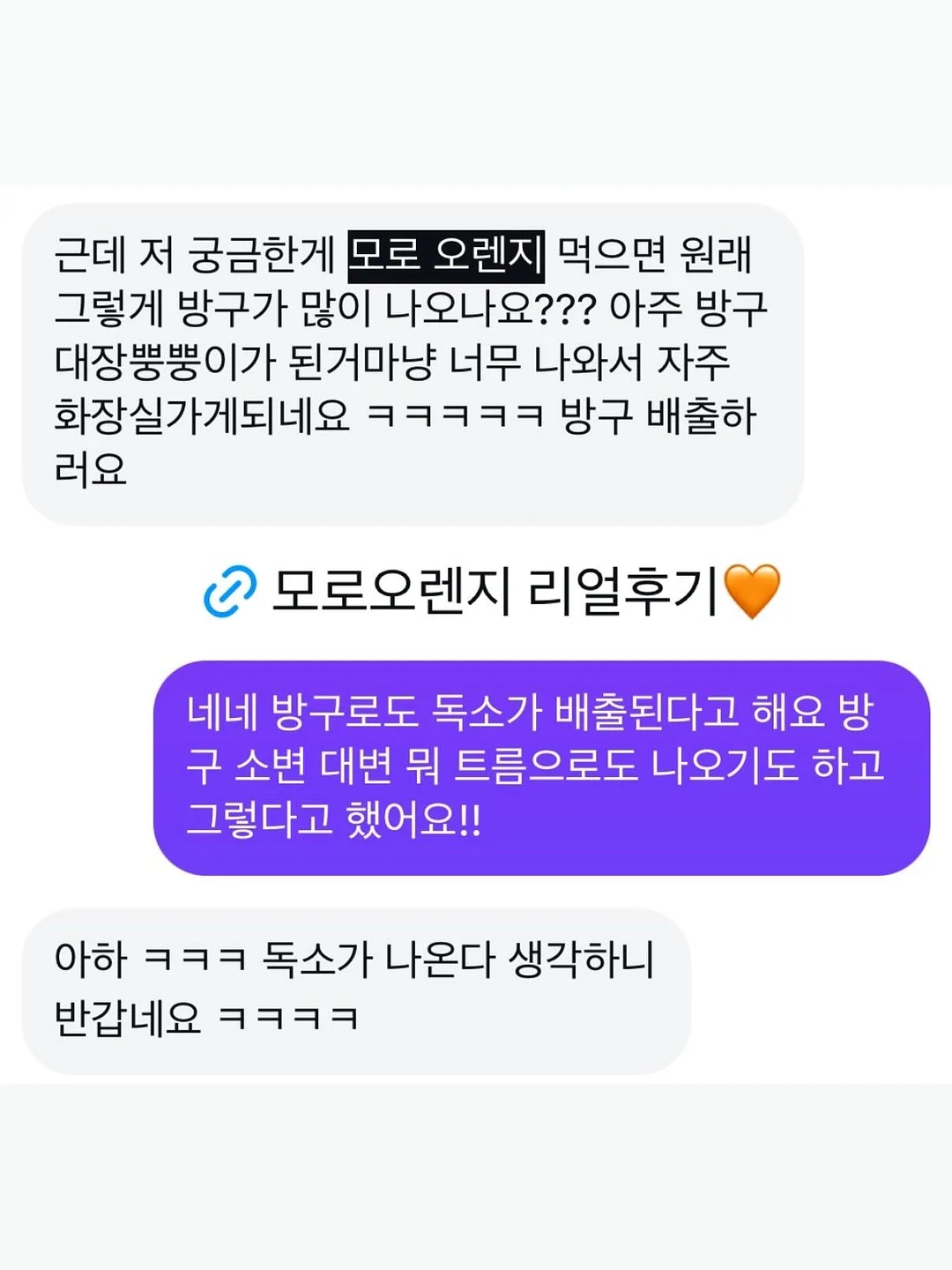 배추 김치 10kg 7