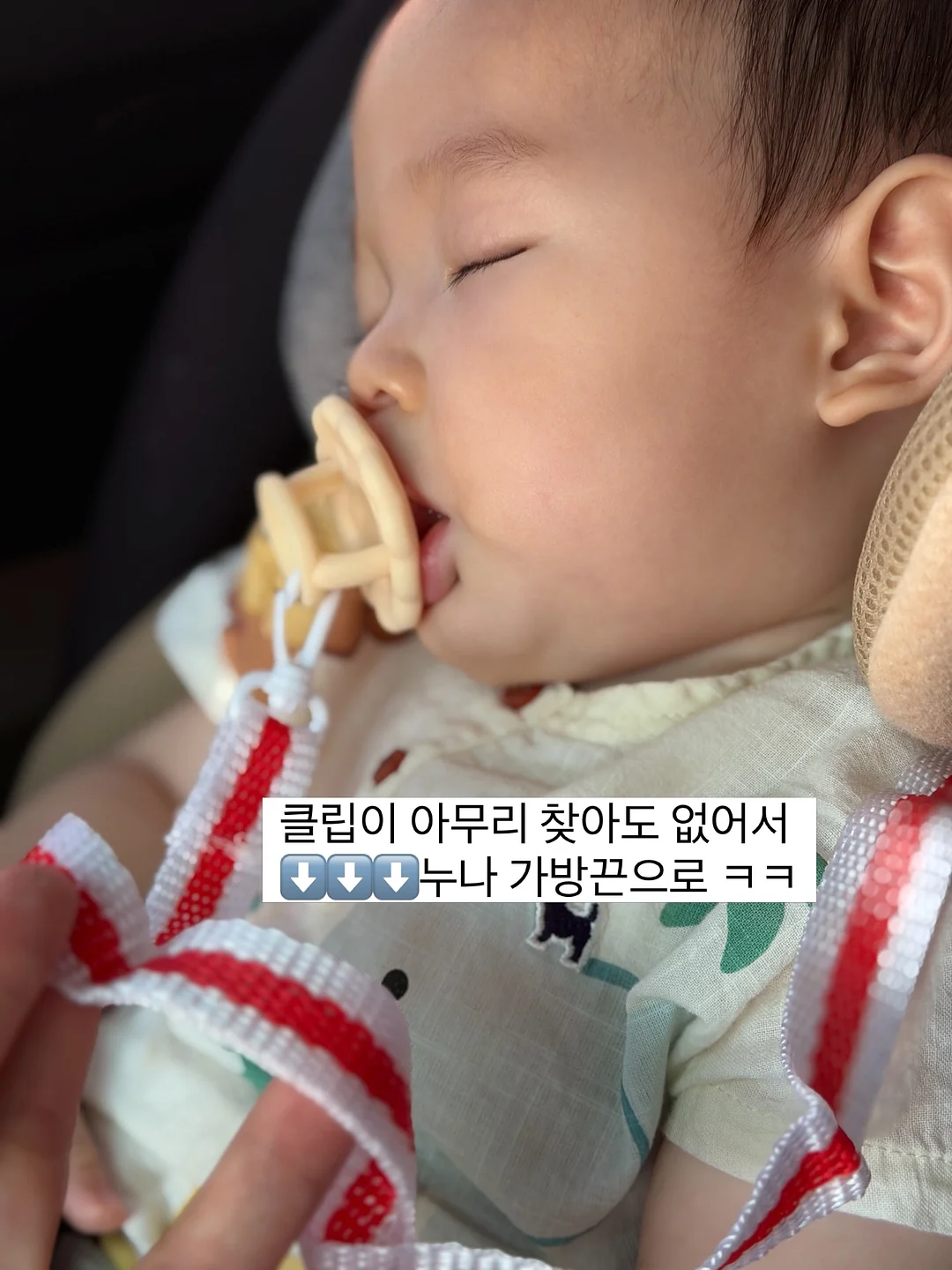 하트 다육이 2