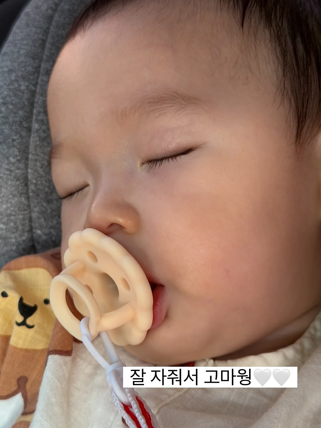 하트 다육이 3