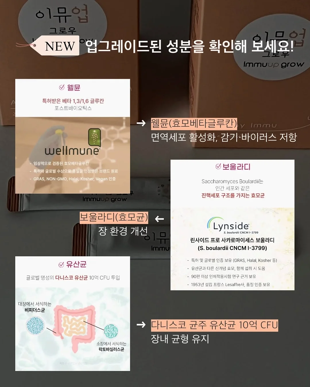수풀 스튜디오 촬영 4