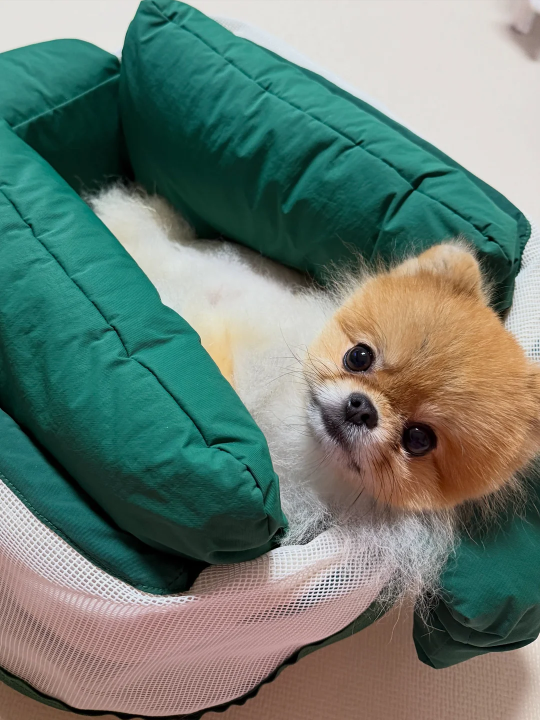 미소찬 한돈 구이세트 5