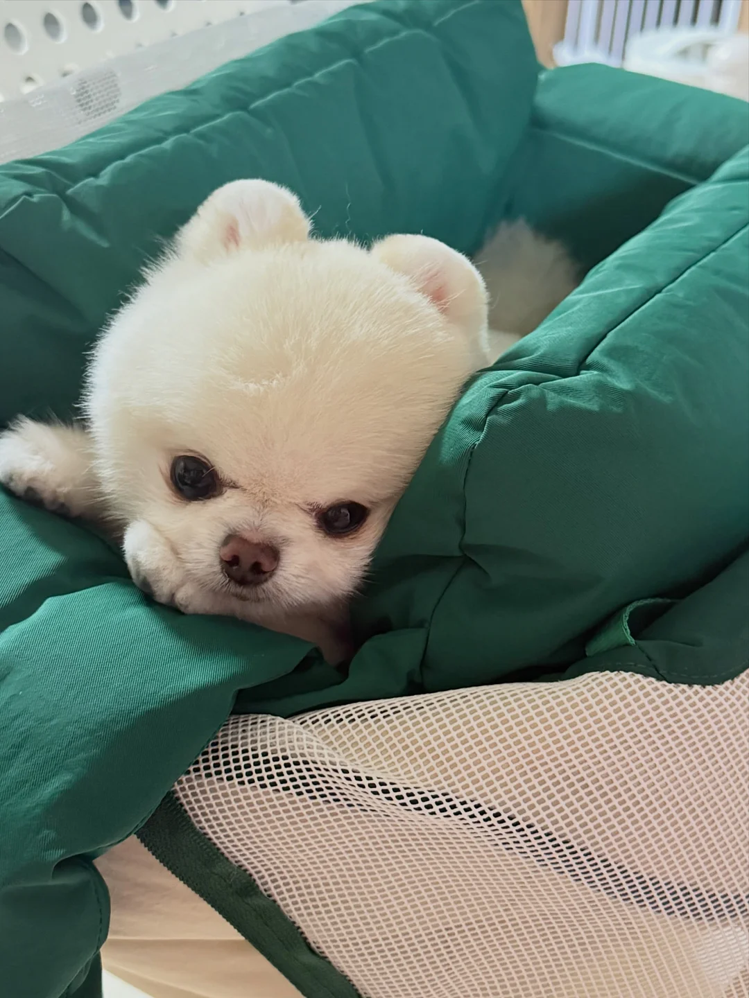 미소찬 한돈 구이세트 8