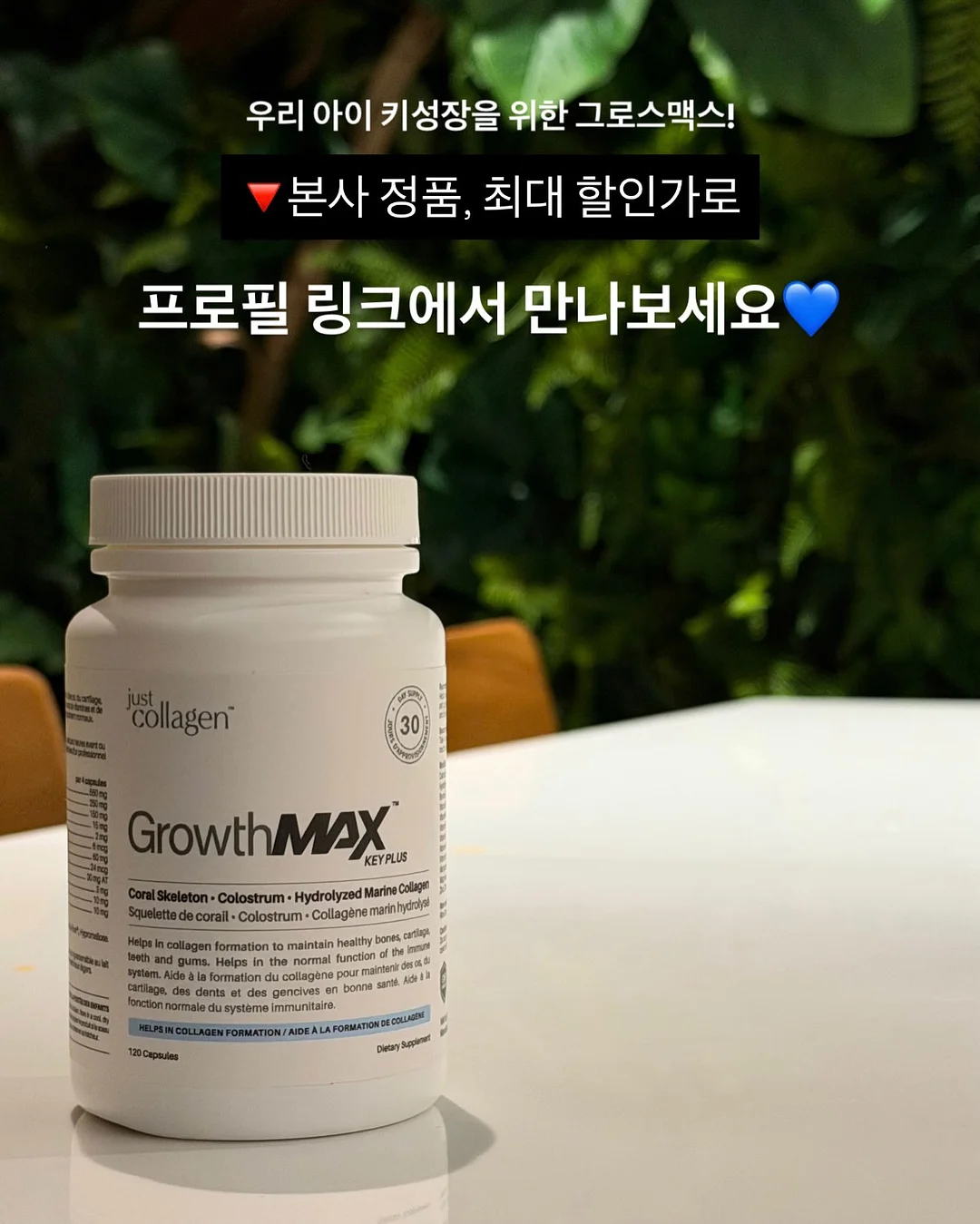 모기퇴치기 10