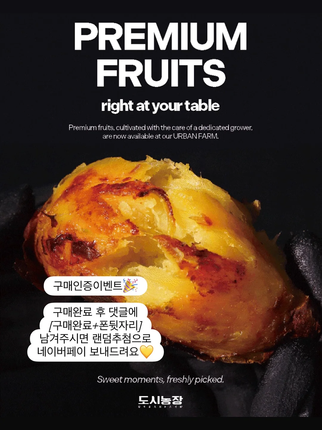 AI 내용 정리 도구 3