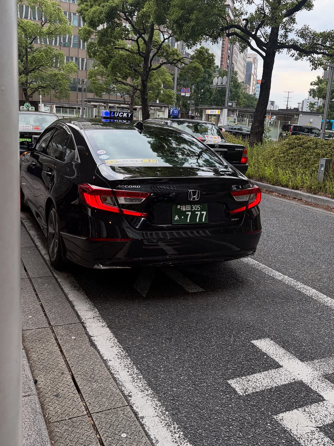 꿀고구마 흑당고구마 3