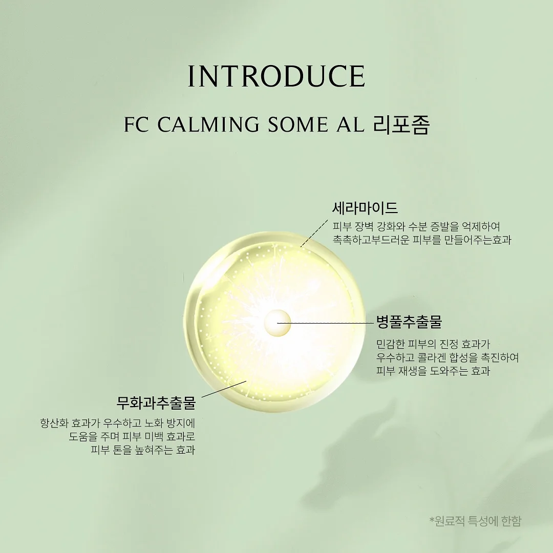 도마뱀 14