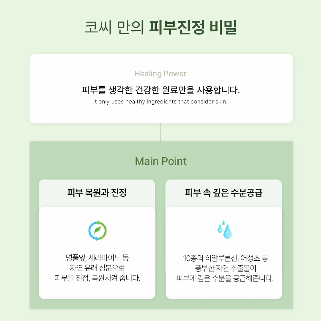 도마뱀 19