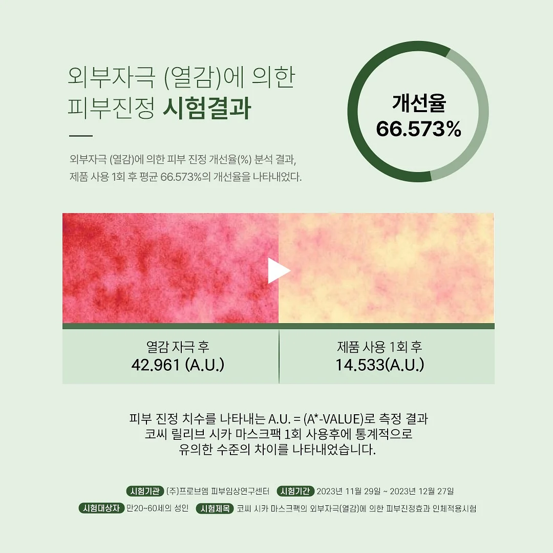 도마뱀 20