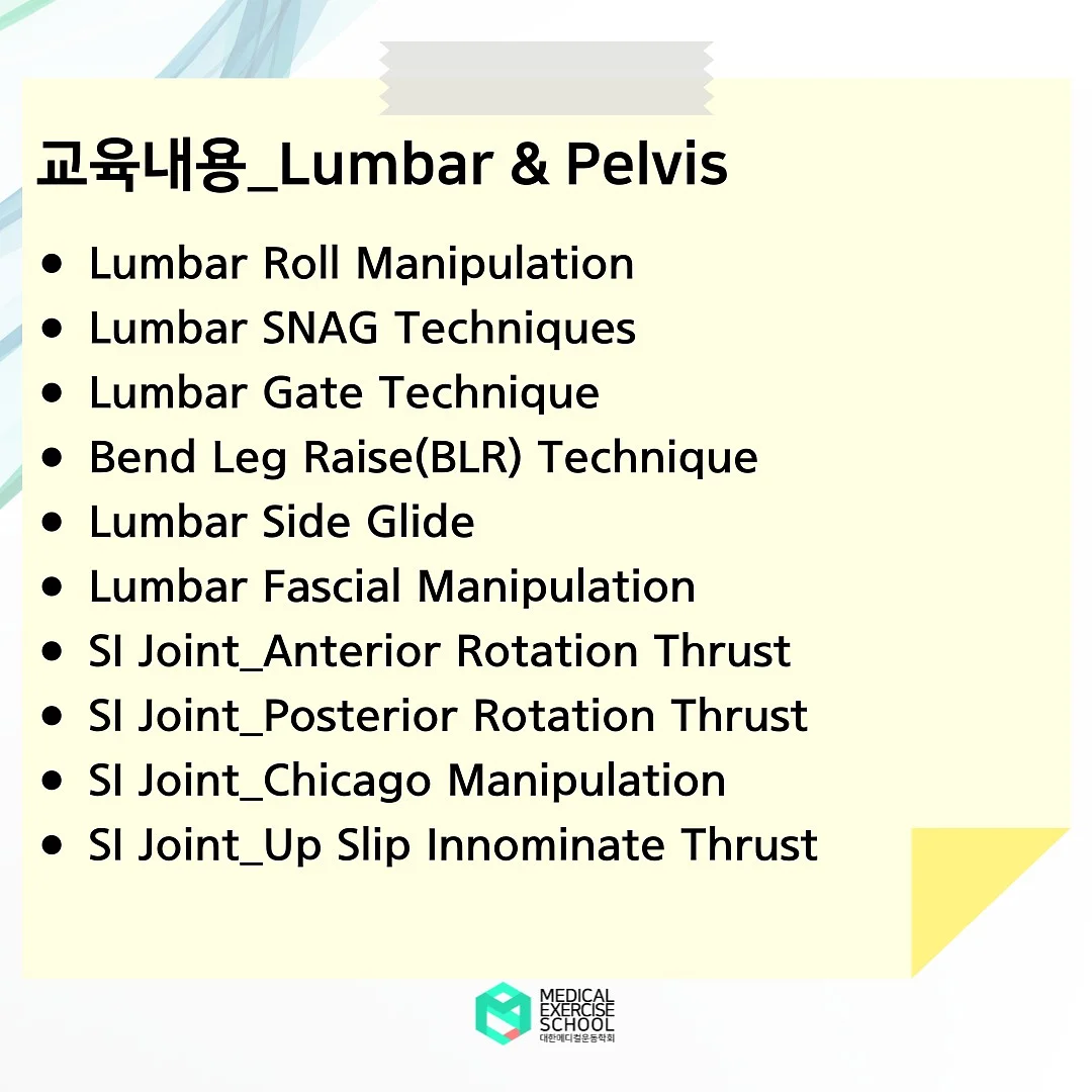 일본 히노모토 프리미엄 휠 캐리어 9