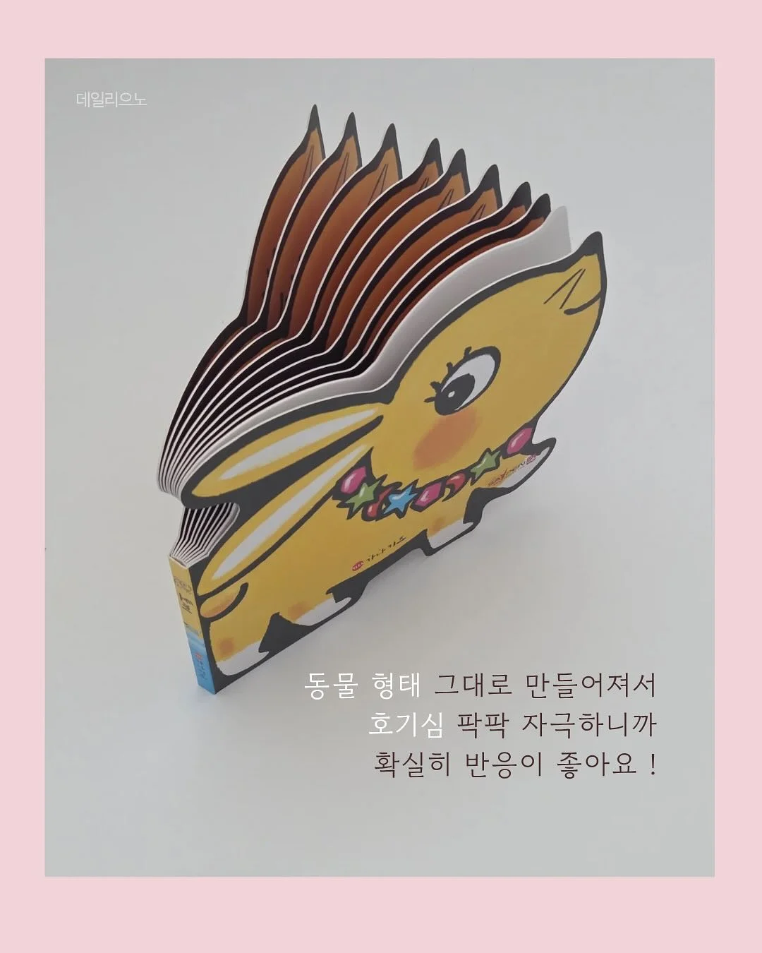 Eat Light 라인 샐러드랩, 피타샌드, 올리브 샌드위치 4
