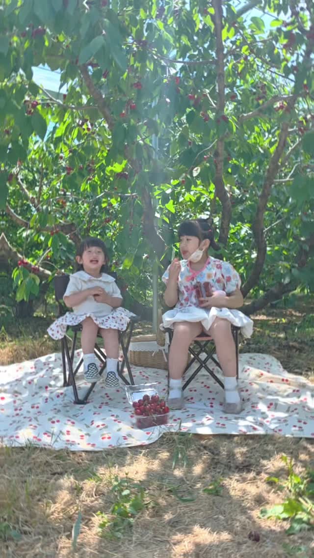 언어특성 체크리스트