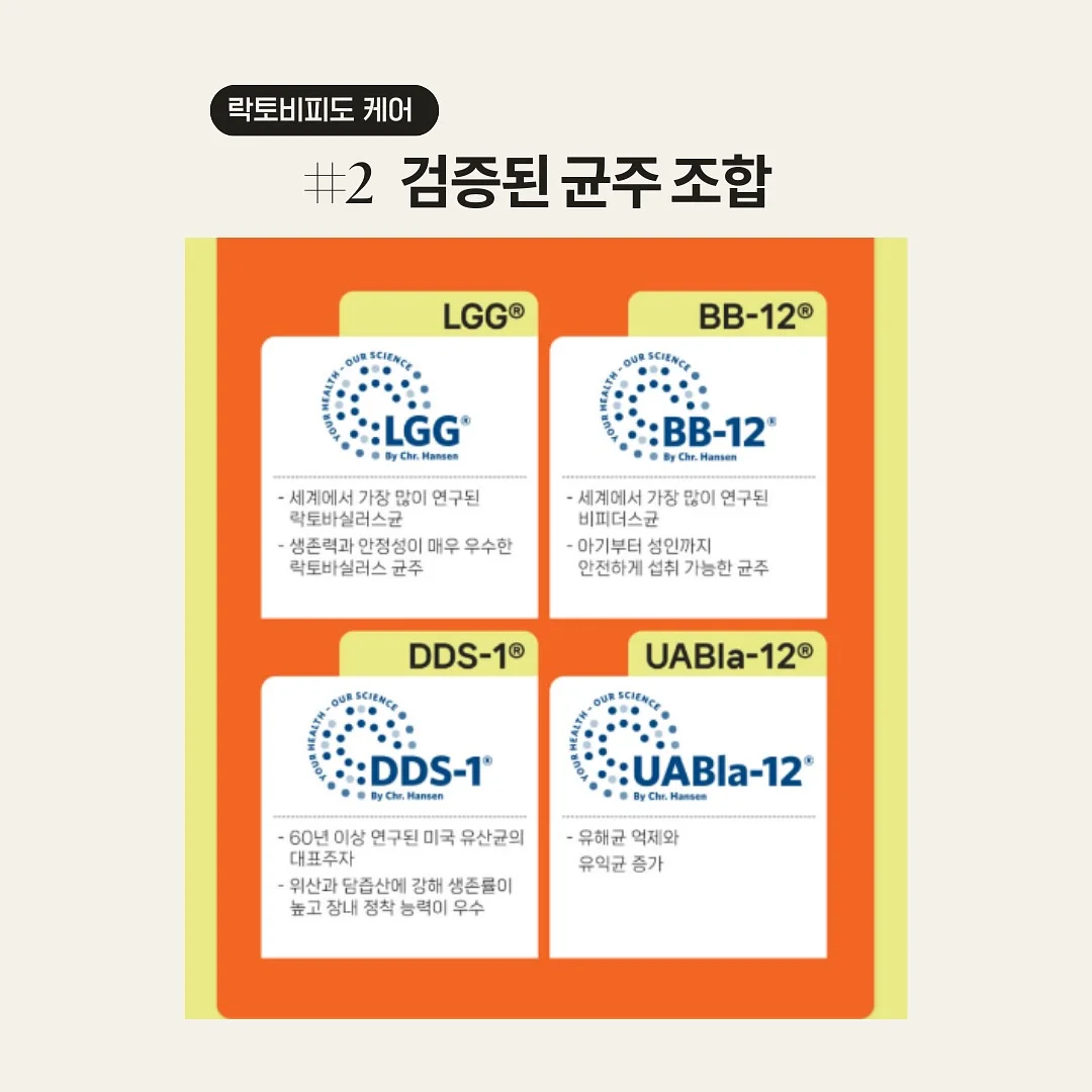 캠핑 테이블 커버 7