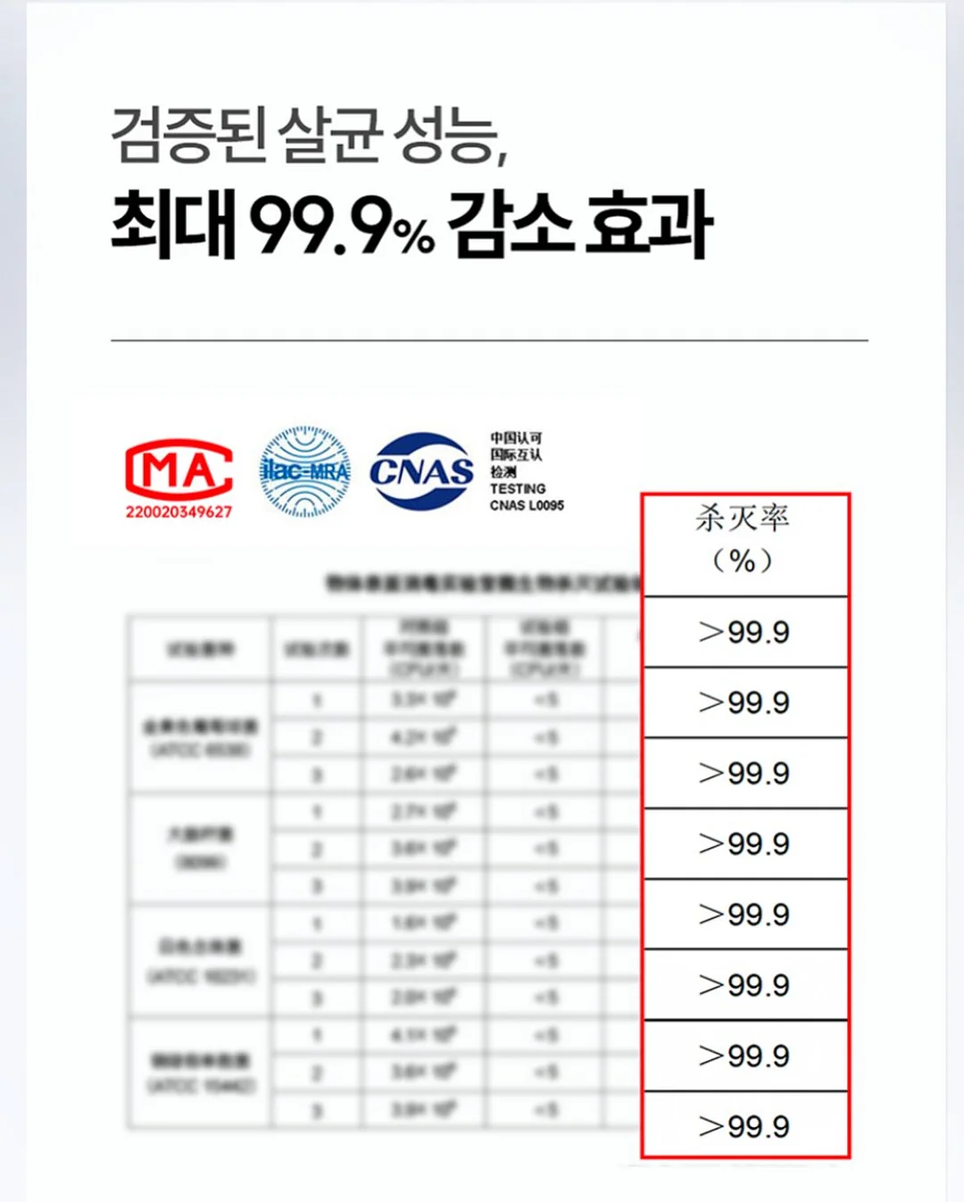이치하이크 머그컵 7