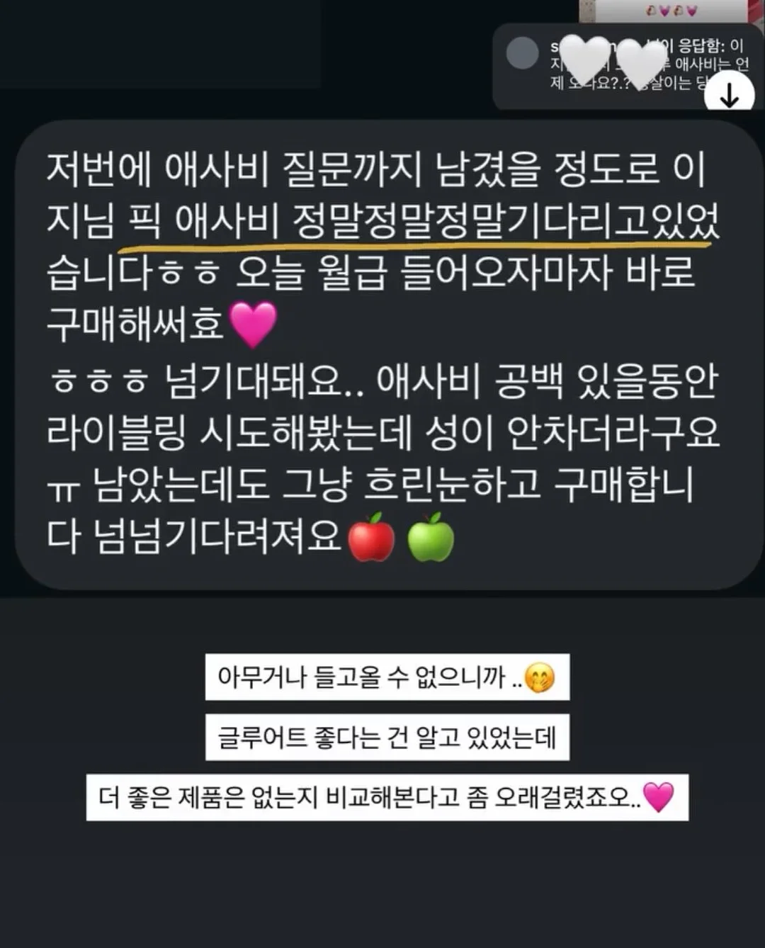 나일론 백팩 15