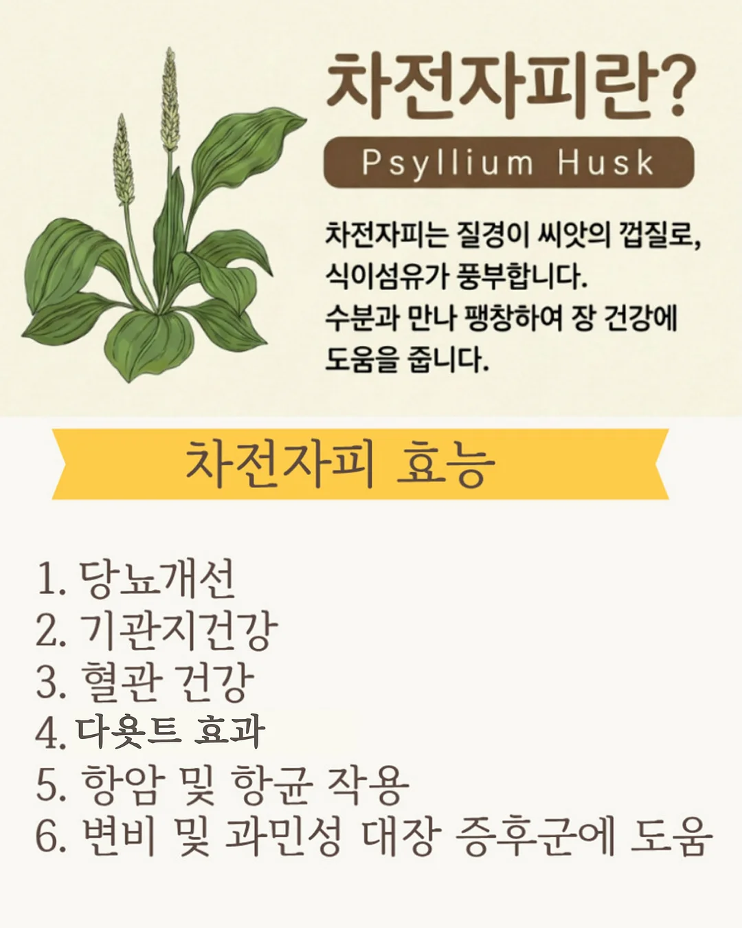 크림 소분용기 9