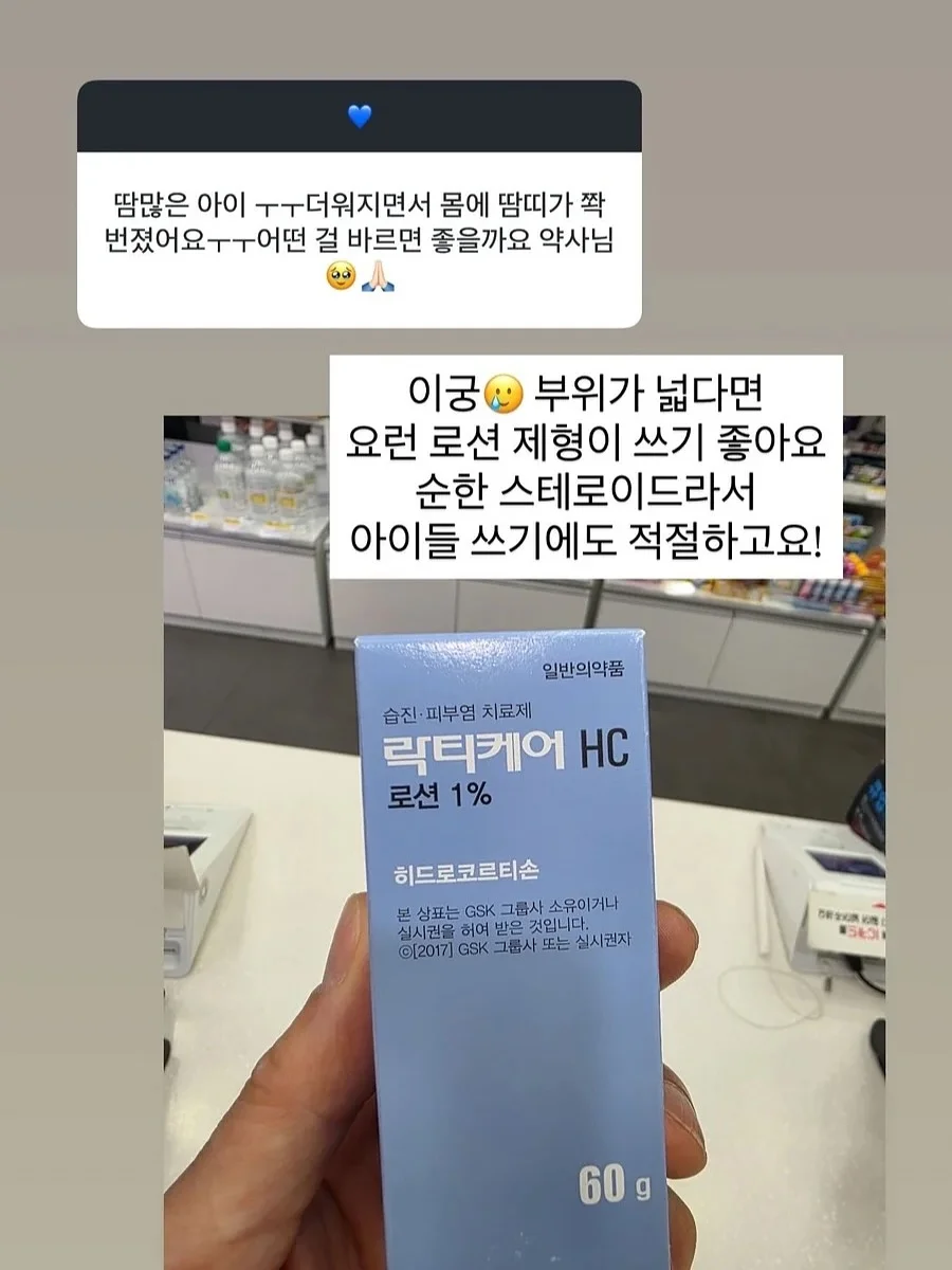 저당단백질 초코칩 쿠키 10