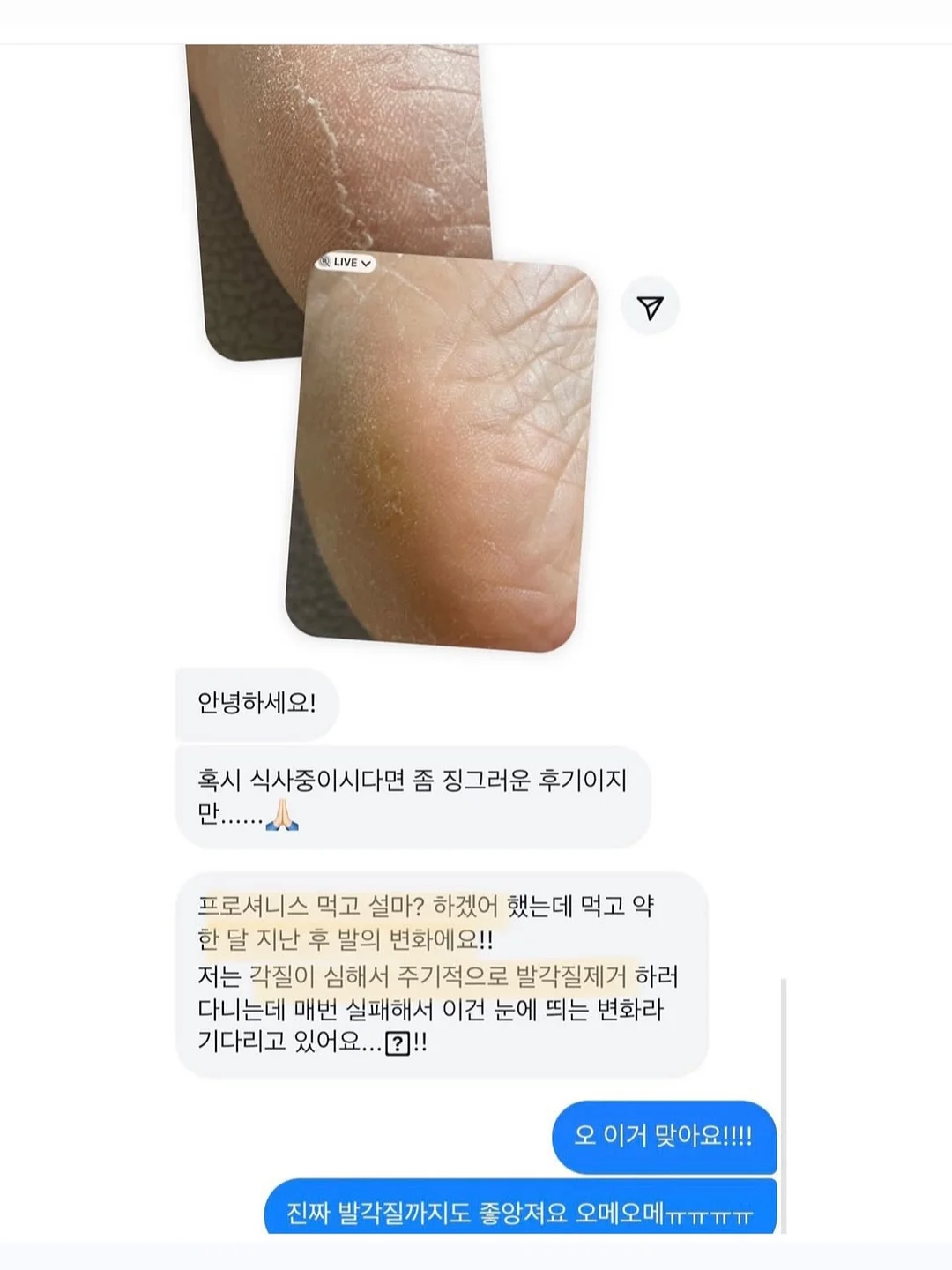 쫄쫄이 꼭지미역 450g 8