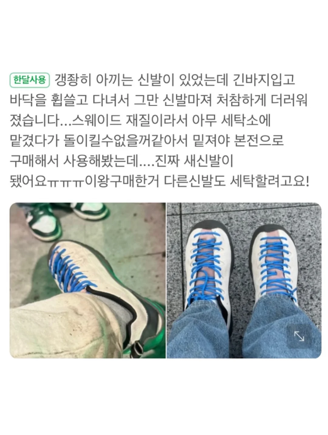 루티너 16