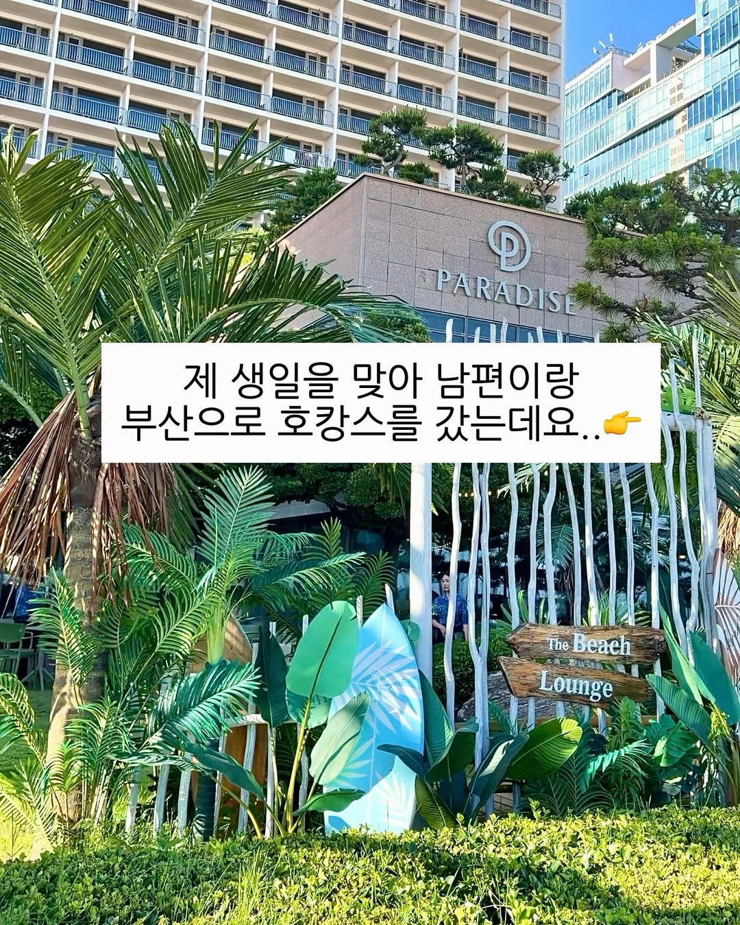 확장 선반 2