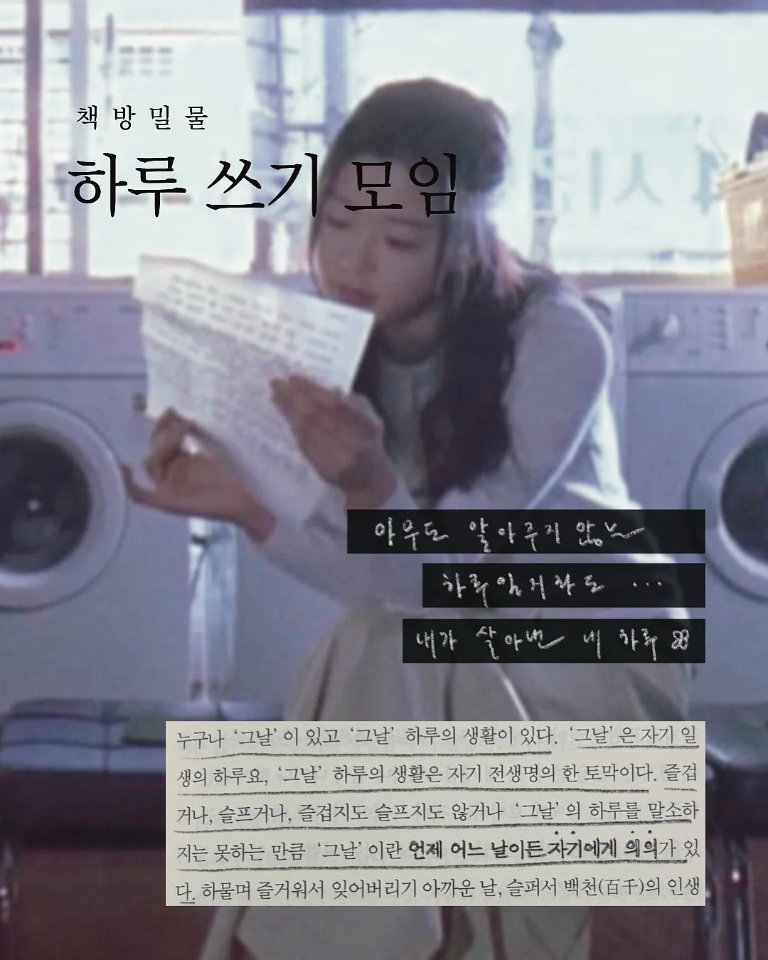 창문 시트지 1