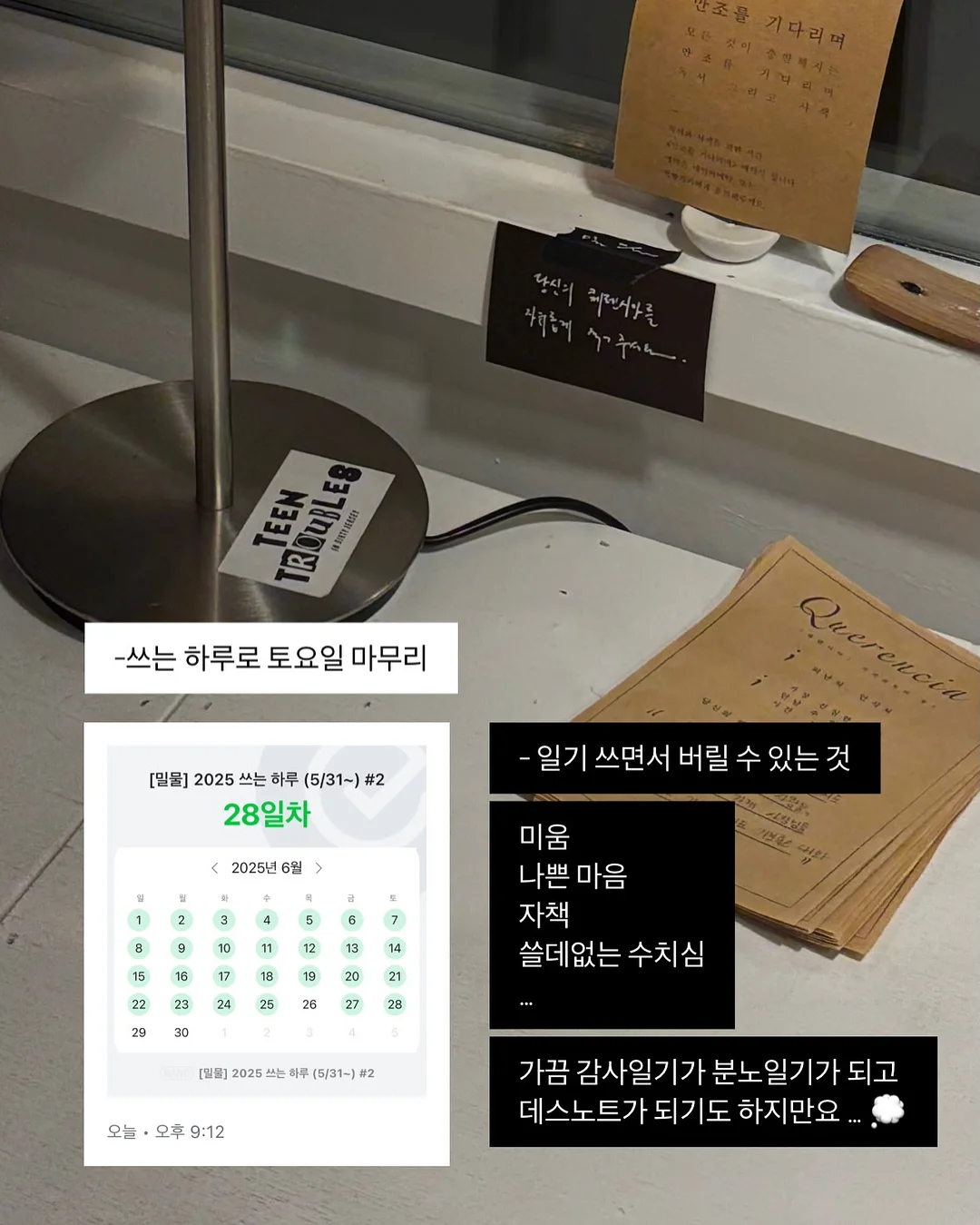 창문 시트지 12