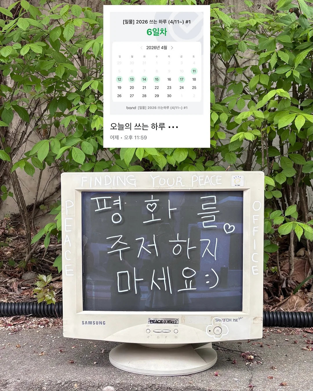 창문 시트지 4