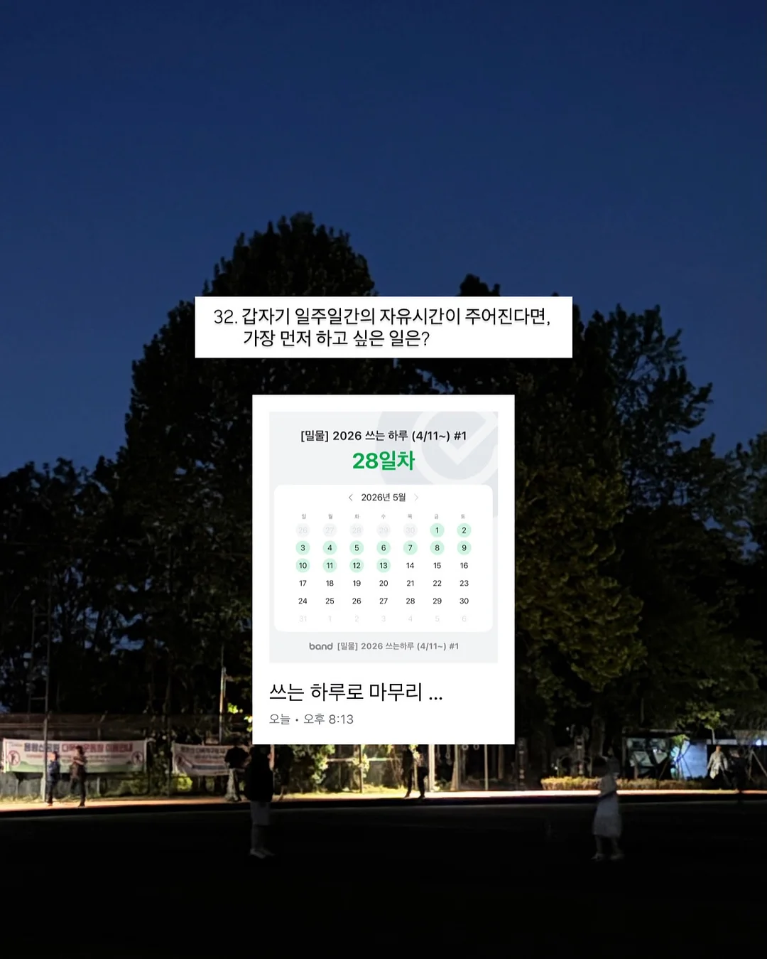 창문 시트지 5