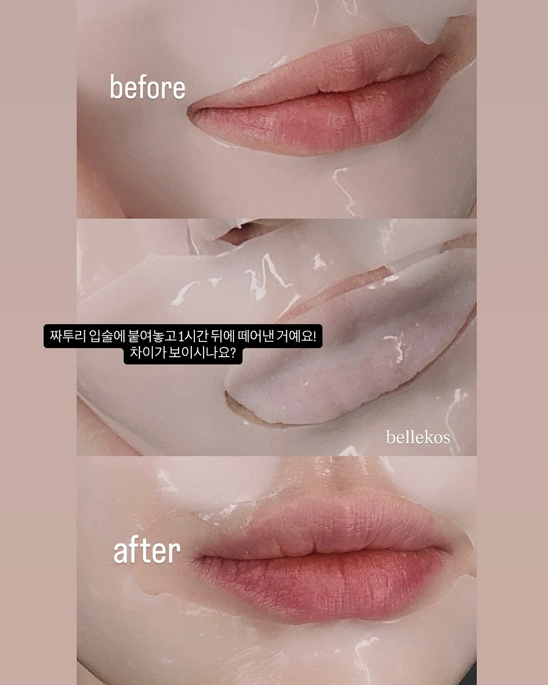 문고본 커버 15