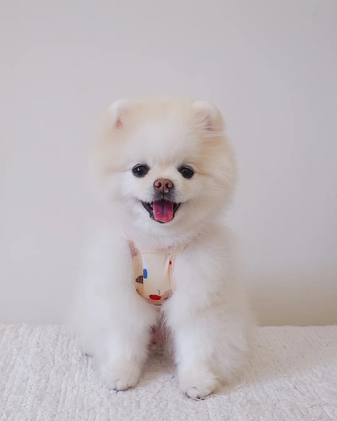 대왕 얼음컵 3