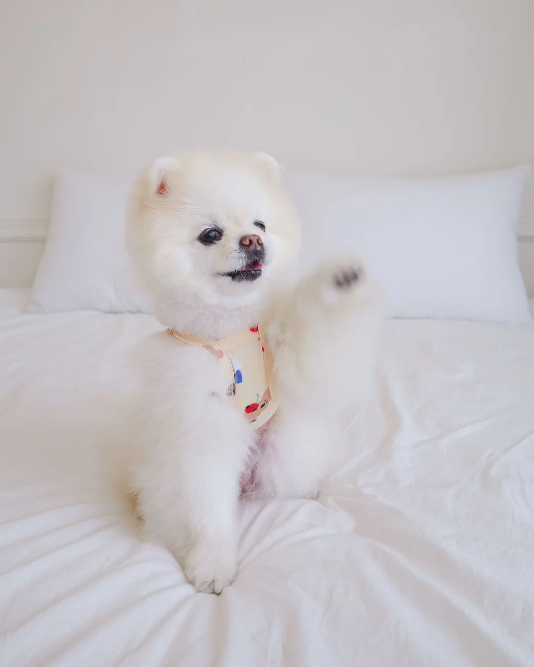 대왕 얼음컵 4