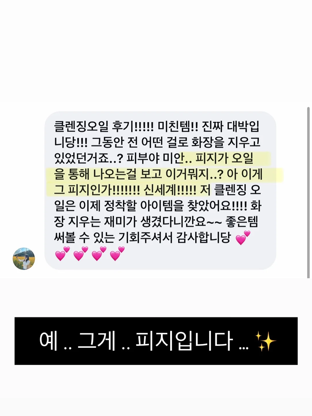 셀린느 파니에 미디엄 백 7