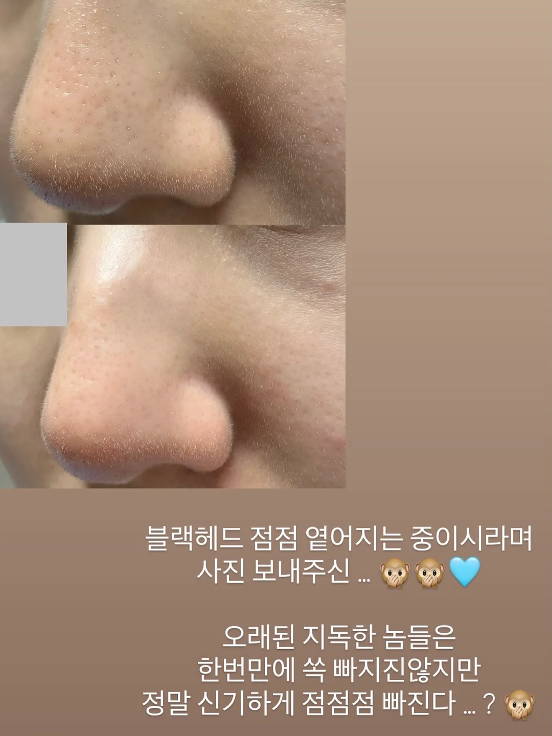 셀린느 파니에 미디엄 백 9