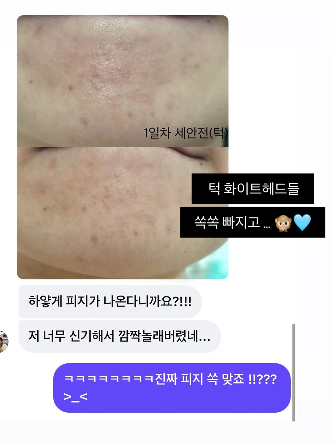 셀린느 파니에 미디엄 백 10